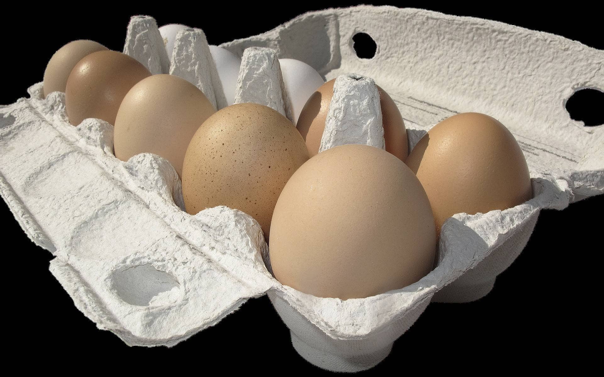 Яйца беларусь купить. Яйцо куриное диетическое. Растекшееся яйцо. Куриное яйцо игрушка. Яйцо в руке.