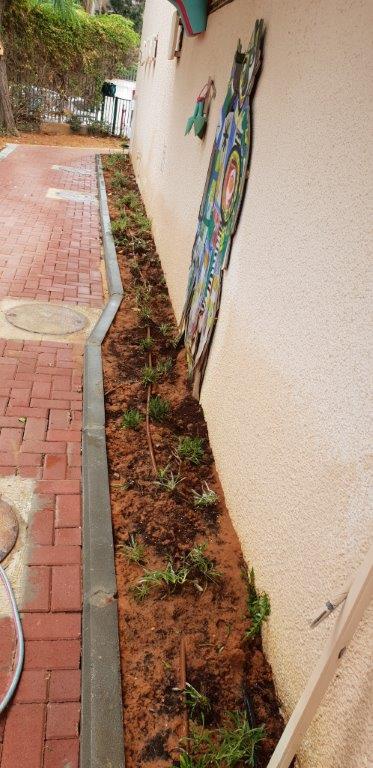 גינות באשכול גני הילדים יהלום בחולון. צילום-עיריית חולון