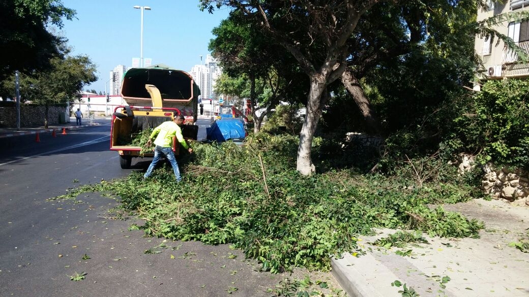 גיזומים לקראת החורף