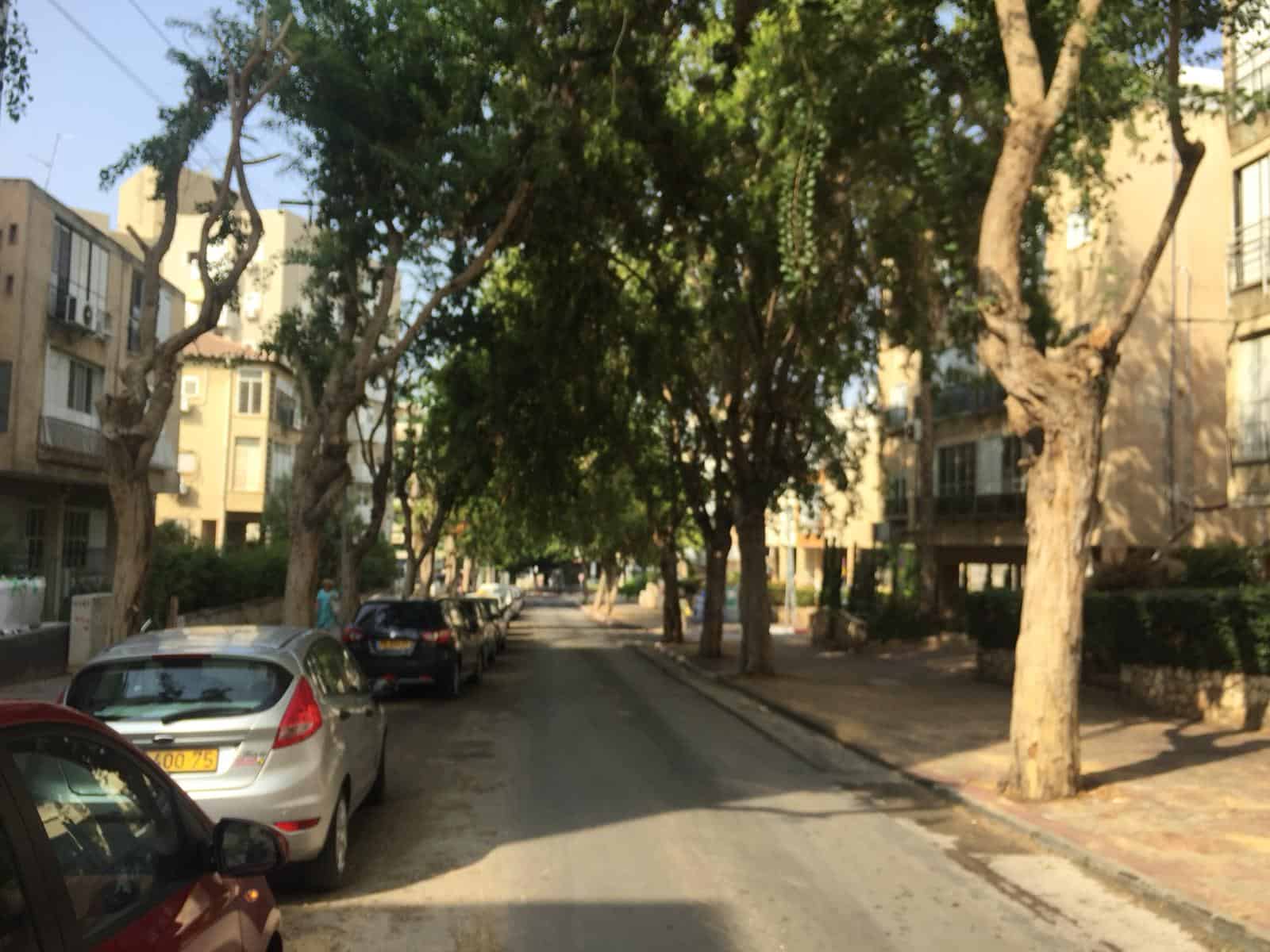 פרלשטיין לפני קרצוף ריבוד